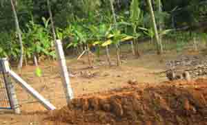 House plot for sale in the Kothamangalam Kozhipilly