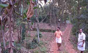 plot for sale in muvattupuzha